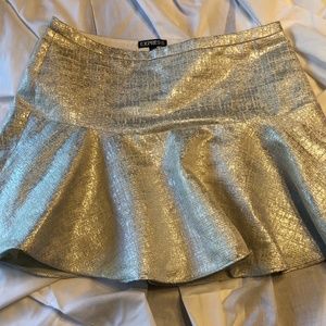 Express mini flare skirt silver